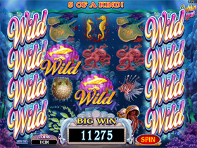 Dolphin Quest Bonus Page Screenshot