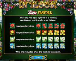 In Bloom Slot Symbol Burst Screen
