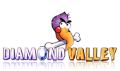 Diamond Valley Logo