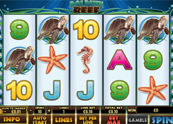 Screenshot of Dolphin Reef Slot 