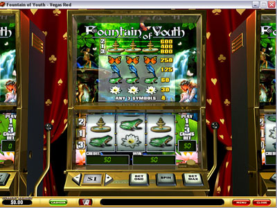 Fountain of Youth Slot Screenshot