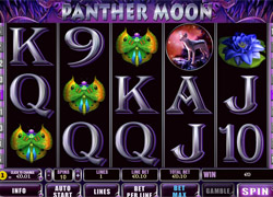 Screenshot of Panther Moon Slot