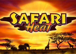 Safari Heat Slot Machine