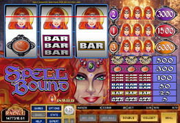 Spellbound Slot Screenshot - Microgaming