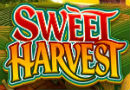 Read Our New Review of Sweet Harvest Slot