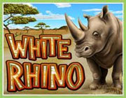 White Rhino RTG Slot